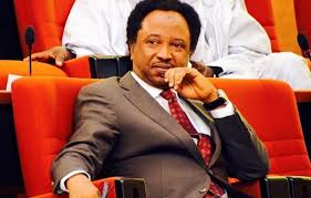 Former Sen. Shehu Sani react over the killing of 10 people in Plateau state by terrorist.
