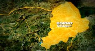 Forty six persons arrested for various crimes in Borno state.